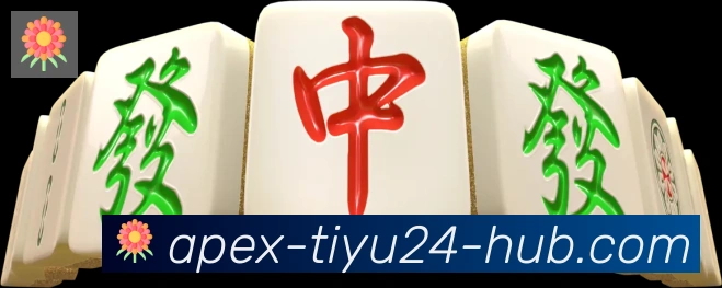 24VS体育直播品牌故事